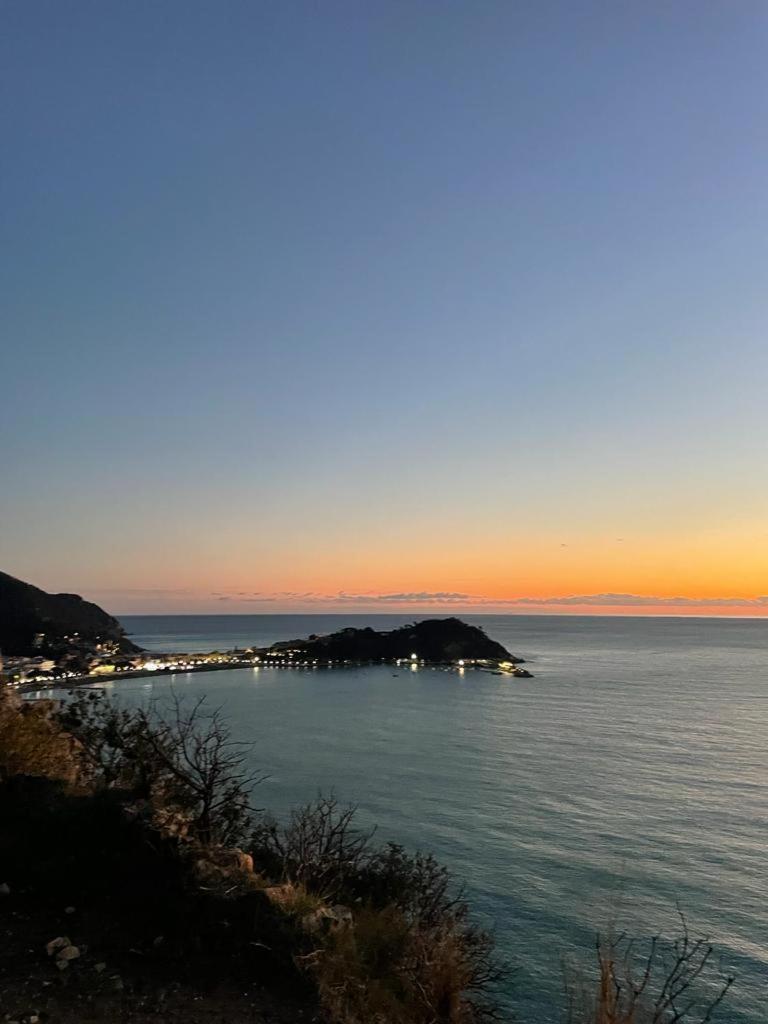 La Vie En Rose Flat Apartment Sestri Levante Luaran gambar